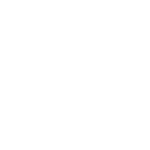 Lightbulb Icon